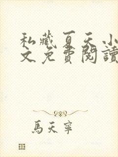 私藏夏天小说全文免费阅读笔趣阁封面