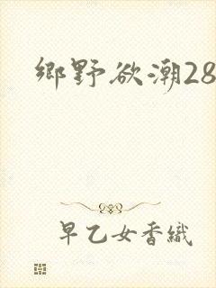 乡野欲潮28章