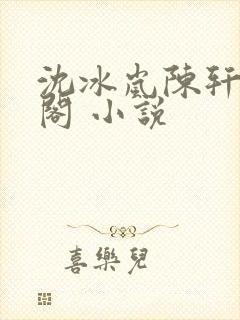 沈冰岚陈轩笔趣阁 小说