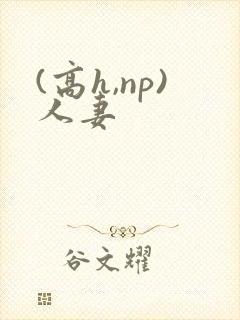 (高h,np)人妻封面