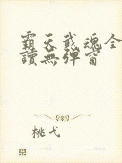 霸天武魂全文阅读无弹窗封面