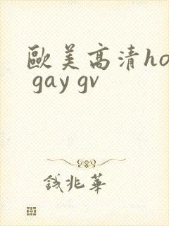 欧美高清hot gay gv