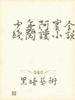 少年阿宾全文在线阅读小说封面