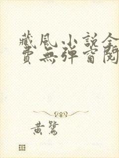 藏风小说全文免费无弹窗阅读笔趣阁