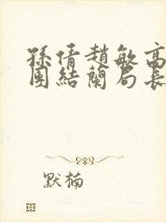 孙倩赵敏高义大团结兰局长封面