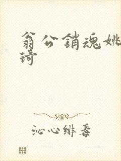 翁公销魂姚瑶琦琦封面