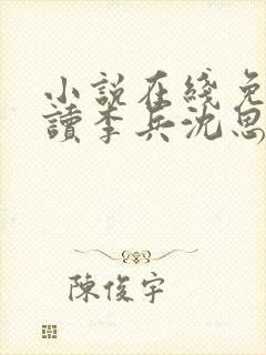 小说在线免费阅读李兵沈思封面