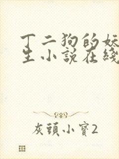 丁二狗的妖孽人生小说在线阅读