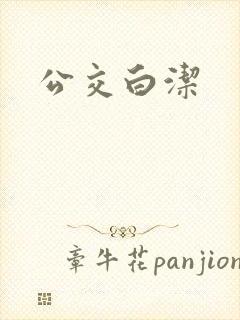 公交白洁