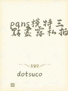 pans模特三点尽露私拍视频