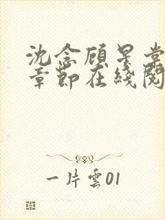 沈念顾星棠最新章节在线阅读封面