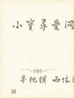 小宝寻爱网封面