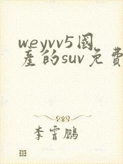 weyvv5国产的suv免费