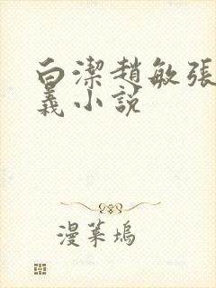 白洁赵敏张倩高义小说