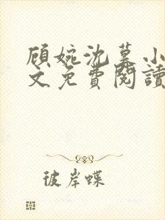 顾婉沈暮小说全文免费阅读无弹窗封面