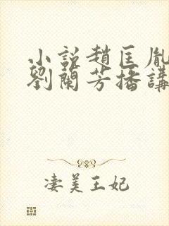 小说赵匡胤演义刘兰芳播讲