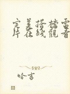 完美搭档电影全片在线观看