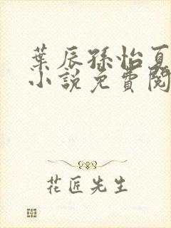 叶辰孙怡夏若雪小说免费阅读全文