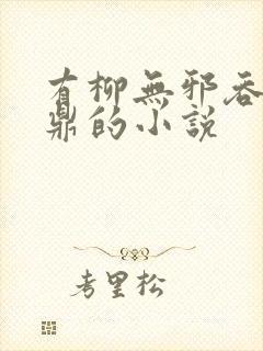 有柳无邪吞天神鼎的小说封面