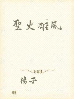圣火雄风封面