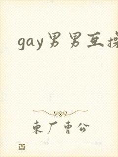 gay男男互操
