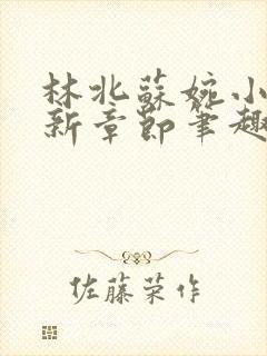 林北苏婉小说最新章节笔趣阁