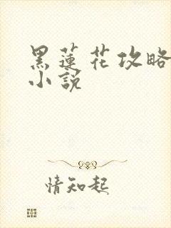 黑莲花攻略手册小说封面
