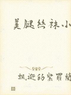 美腿丝袜小说封面