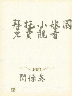 拜托小姐国语版免费观看封面