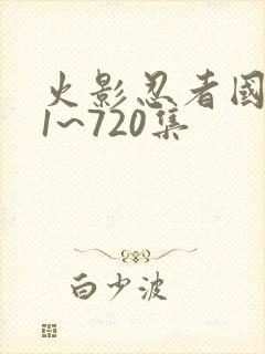 火影忍者国语版1~720集