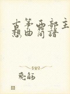 古筝西部主题畅想曲简谱