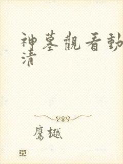 神墓观看动漫高清