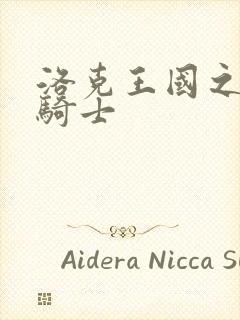 洛克王国之圣龙骑士封面