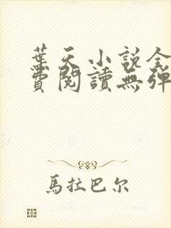 叶天小说全文免费阅读无弹窗封面