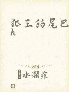 狐王的尾巴高ah