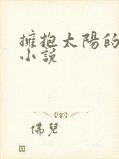 拥抱太阳的月亮小说