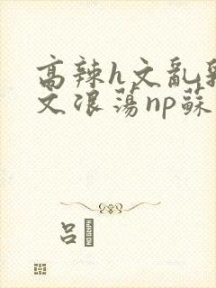 高辣h文乱乳h文浪荡np苏夏