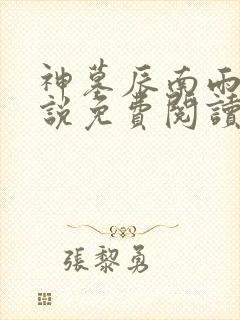 神墓辰南雨馨小说免费阅读无弹窗
