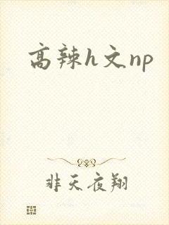 高辣h文np封面