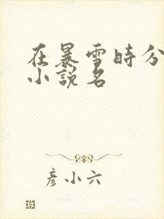 在暴雪时分原著小说名