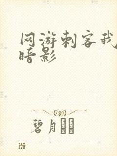 网游刺客我即是暗影封面