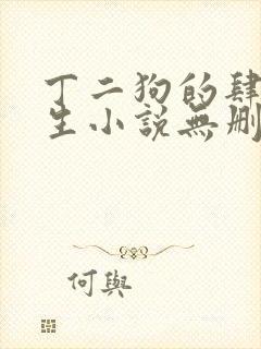 丁二狗的肆意人生小说无删减全文阅读封面