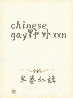 chinesegay野外xxn