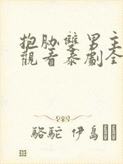 抱胁双男主免费观看泰剧全集动漫封面