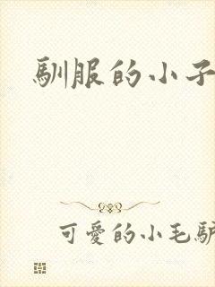 驯服的小子4封面