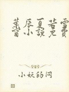 叶辰夏若雪无弹窗小说免费封面