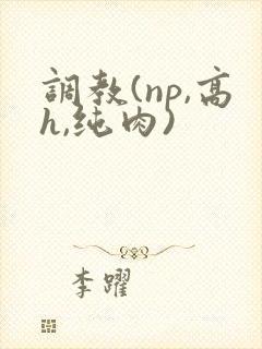 调教(np,高h,纯肉)