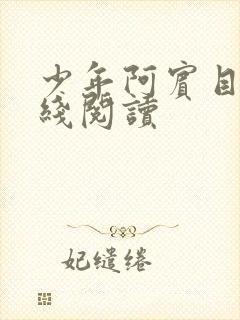 少年阿宾目录在线阅读