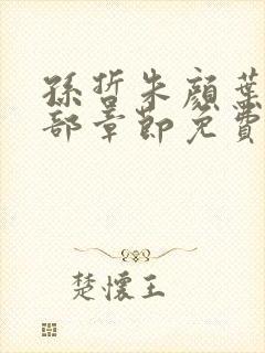 孙哲朱颜叶巧全部章节免费阅读