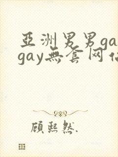 亚洲男男gaygay无套网站封面